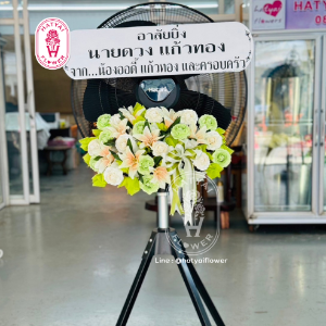 Produce Images