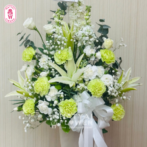 แสดงความยินดี