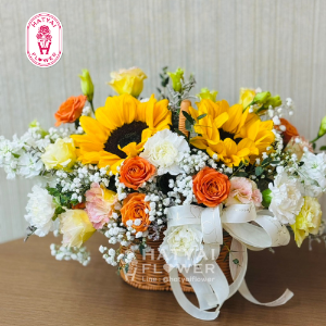 แสดงความยินดี