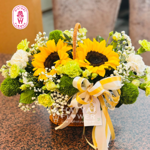 Produce Images
